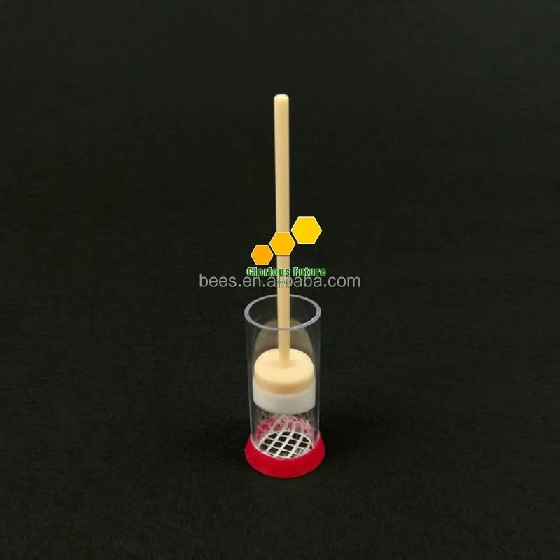 Славного будущего для пчеловодства Tool Высокое качество маркировки Queen bee маркировки клетки