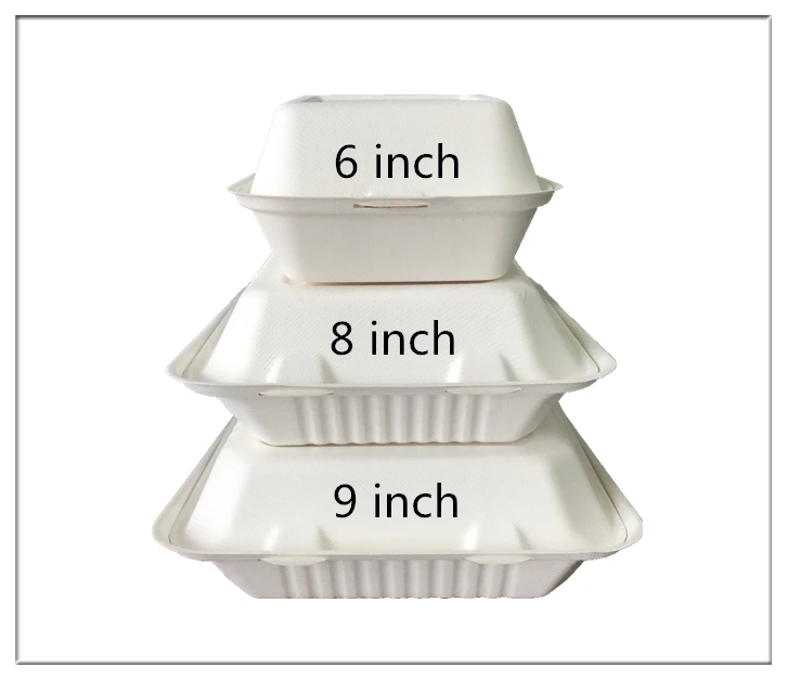 Disposable Bagasse Container Packaging Box Tableware Products Sugarcane Bagasse Packaging Burger Boxes Food Triangle Cake Box