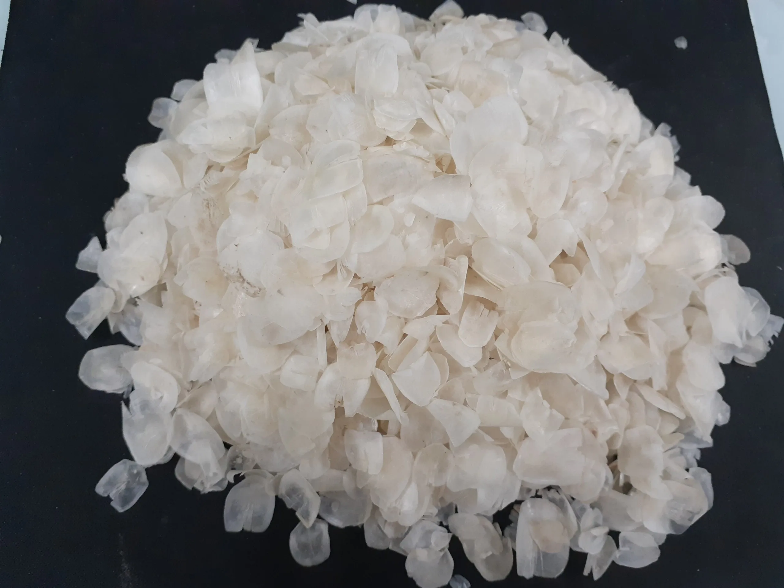 Dried Fish Scales with high quality from Viet Nam