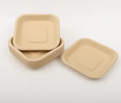 VVG does not add pfas 5-inch biodegradable bamboo paper small square mini dessert plate for one-time party use