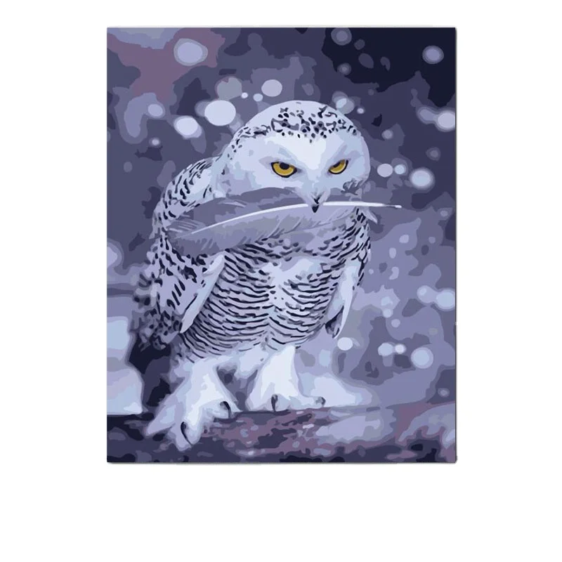 Factory Direct Sale Cute Owl Diy Digital Painting For Kids Paint By Number Kits Drawing On Canvas