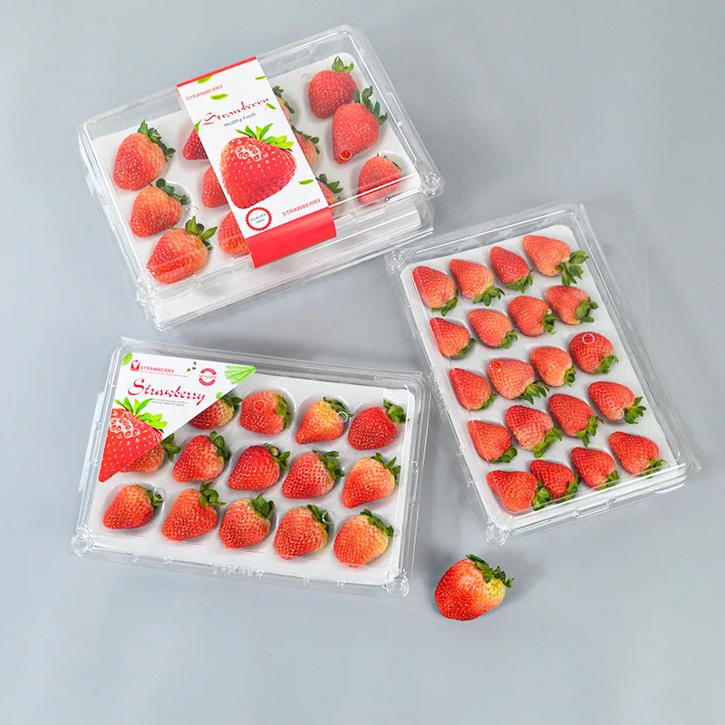 Reusable 9 11 12 15 20 24 pcs Insert Disposable PET Custom Food Grade Blister Container Plastic Fruit Strawberry Packaging Tray