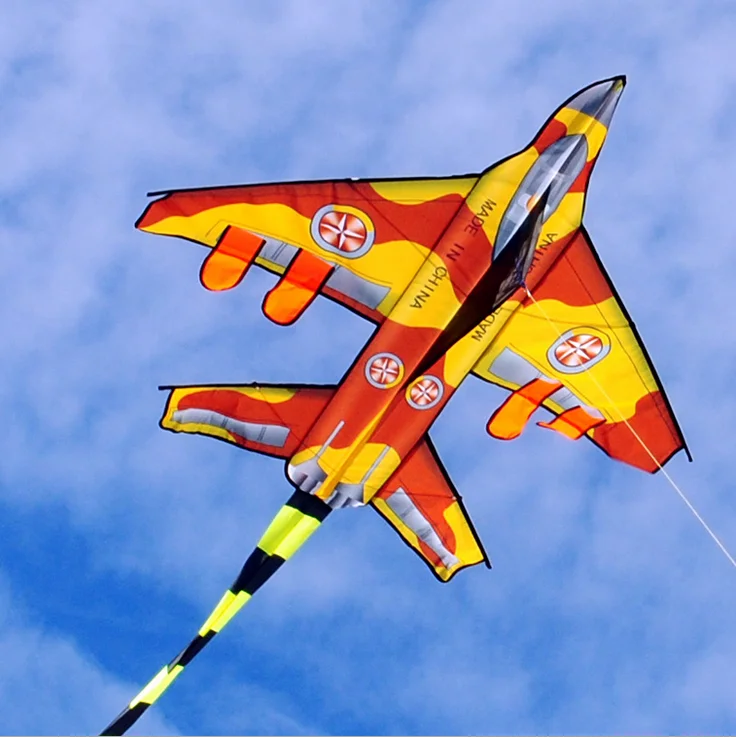 Factory Supplying Cartoon Kite Customized Color For Beach Trip