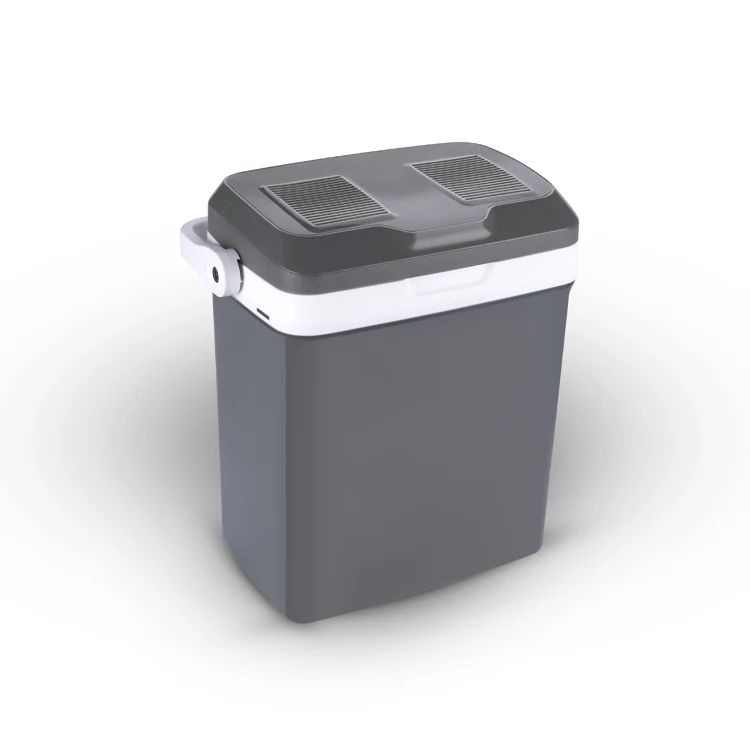 12v dc 21L portable electric style car fridge thermoelectric refrigerator cooler box