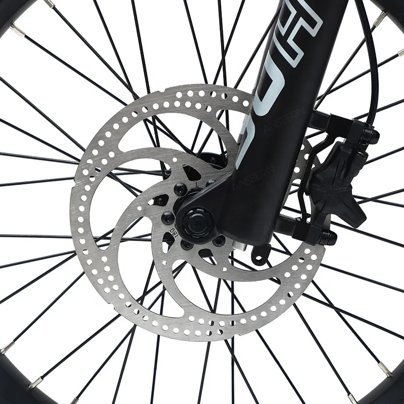 36V350W Very powerful motor electric cargo bike long tail seat long range two wheel electric cargo bike