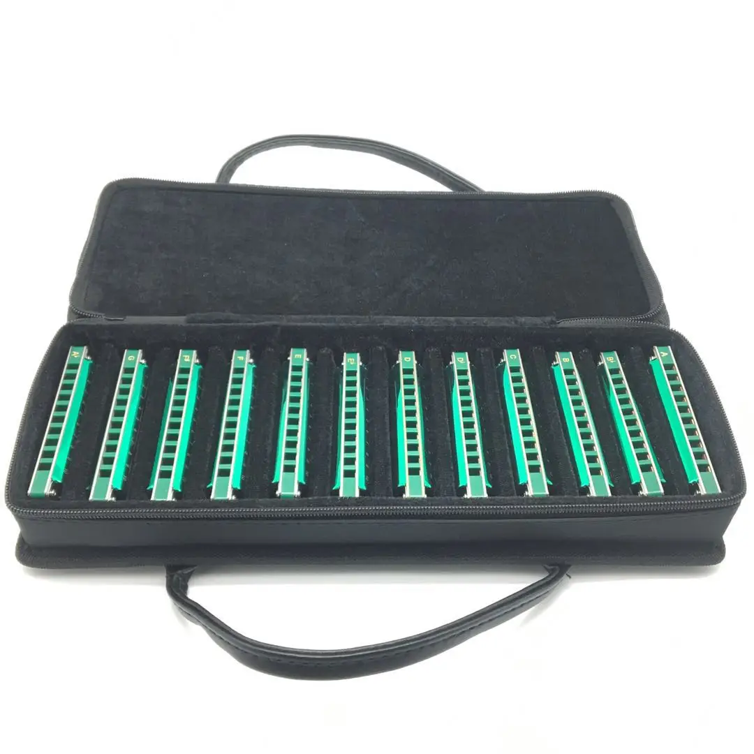 EASTTOP PR020 10 holes harmonica blues harp mouth organ diatonic good harmonica for sale 12keys set