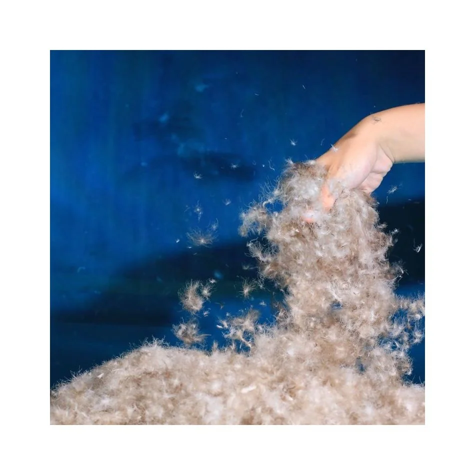 Hot Sale Factory Direct Delivery 80% Filling Material Washed Grey Goose Down