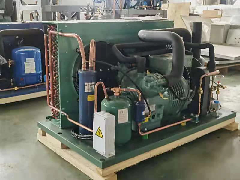 High Quality Good Price Factory Suppler Air Cooled Condensing Unit  Condensing Unit