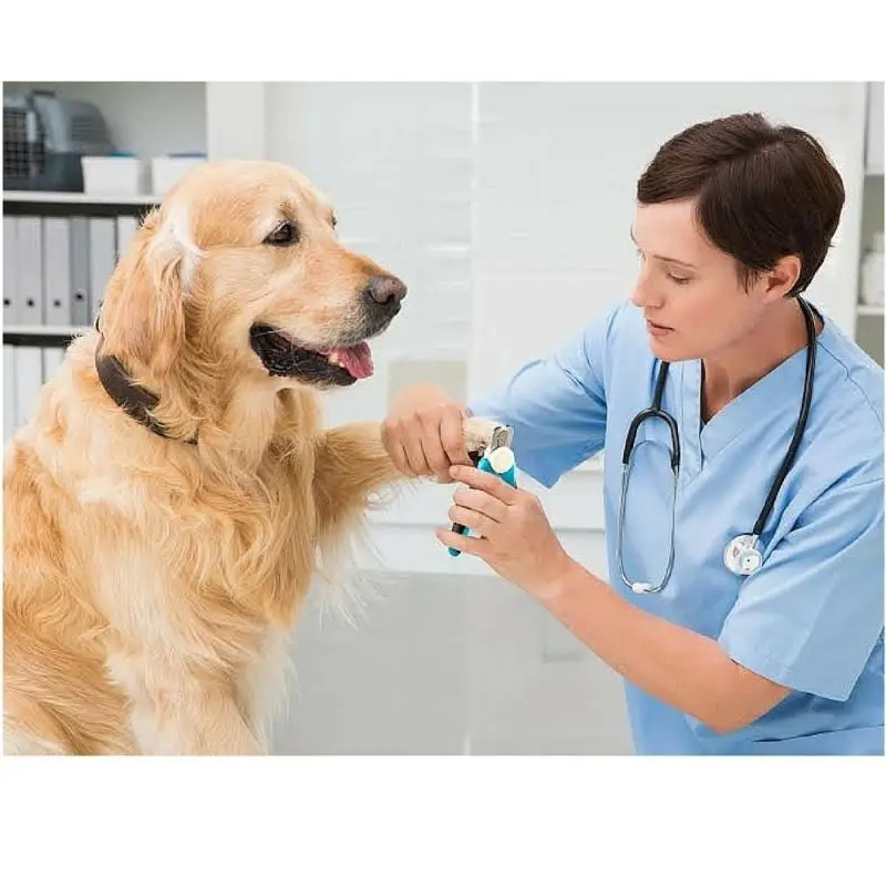 Manufacturer Custom Best Selling Professional Cat Pet Dog Nail Clippers and Trimmer