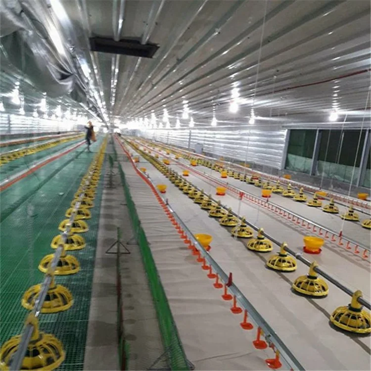 Poultry Farm Equipment Chicken Automatic Broiler Pan Feeding Line