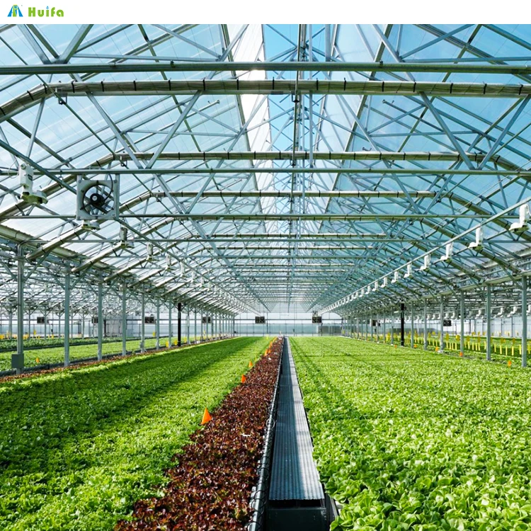 40x40m Agriculture Green House Sawtooth Poly Tunnel Hothouse Tropical Greenhouse Serre Agricole