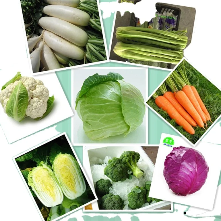 chinese fresh vegetable 2021.jpg