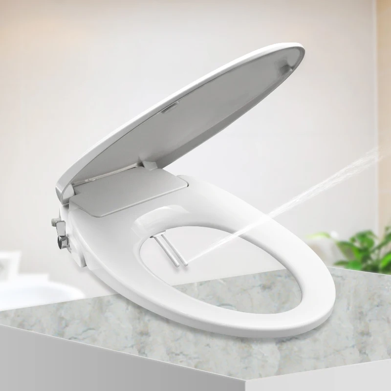 Bathroom Non Electric Cold Water Toilet Seat Cover Plastic Toilet Bidet Sanitary Ware Wth Dual Nozzle Toilet Seat Bidet