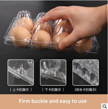 High Quality Multi-Colored Convenient Plastic Circle  Eggs Boxes for Food Shop/Restaurant