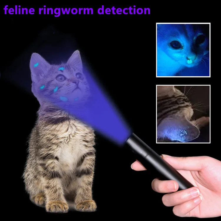 Aluminium Ultraviolet Blacklight Torch USB Charge Black Light 365/395nm UV Flashlight for Dog Urine Pet Stains Bed Bug