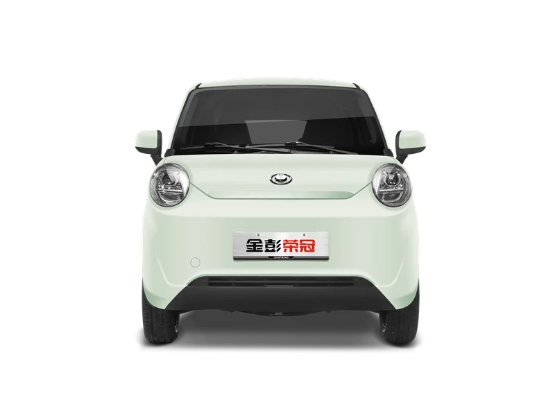 JINPENG RG 2024 мини-электромобиль для взрослых низкоскоростные электромобили 43 км/ч