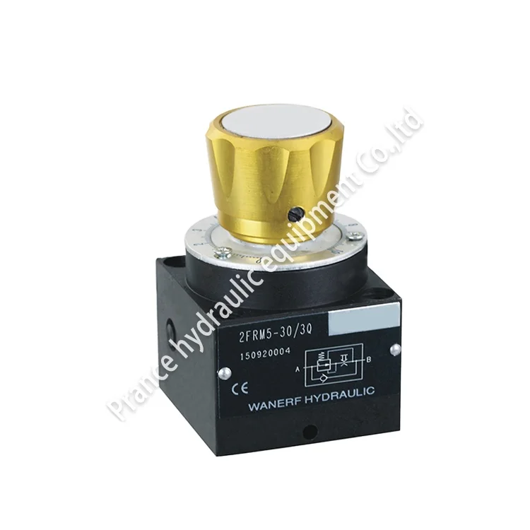 2FRM5 Type Speed Control Valves Fluid Flow Control Valve Flow Control Valve