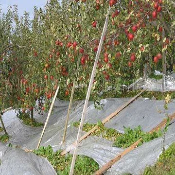 
20/25mic Plastic Agriculture Mulch metallized CPP FILM 