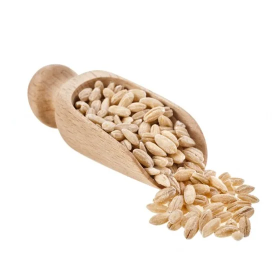 Wholesale natural organic non GMO cereal grains original manufacturer in bulk from Kazakhstan supplier (1600339235922)