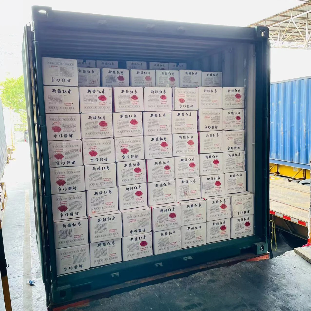 Bikini Swimsuit Dried Datemulticolorbags 1kg*10bags Swimwear Red Cheap Xinjiang Chinese Dried Fruit AD Normal Temperature Cold /