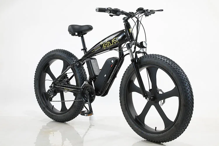 High power 750W 48V snow electric mountain bike/ebike