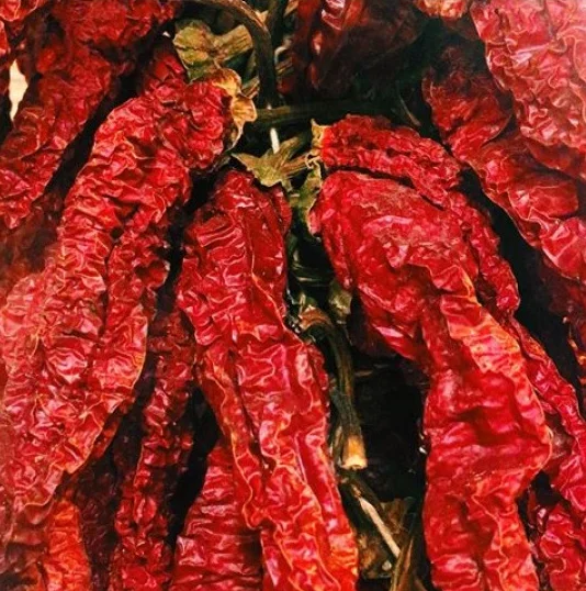 18 Months Shelf Life Seasoning Single Herbs Spices Best Selling Chili Paprika Dry Natural Red Pepper For Sale