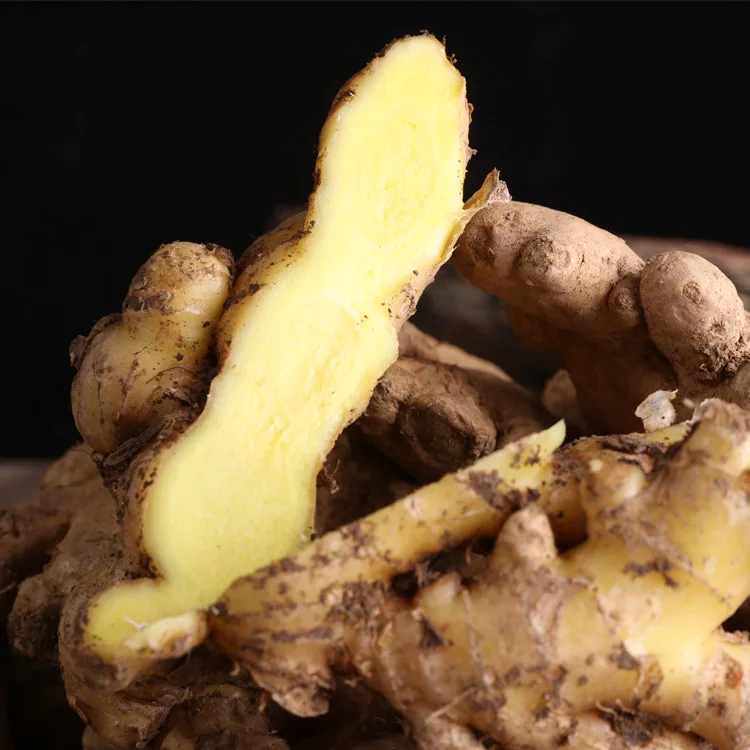 New Crop Fresh Ginger for Sale - Ginger Root Superior Quality Spicy and Fragrant Flavor