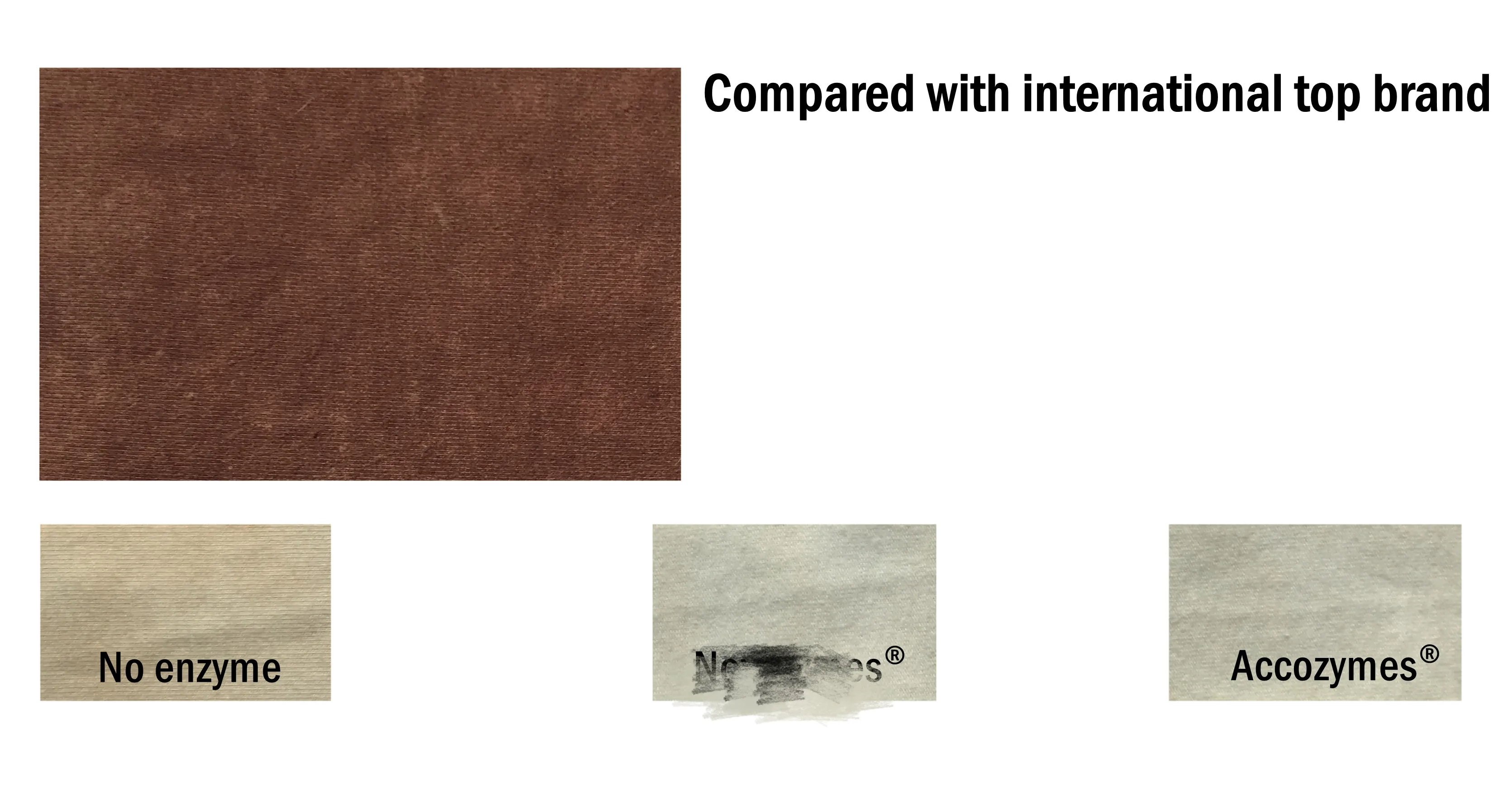 Blood Test_Accozymes