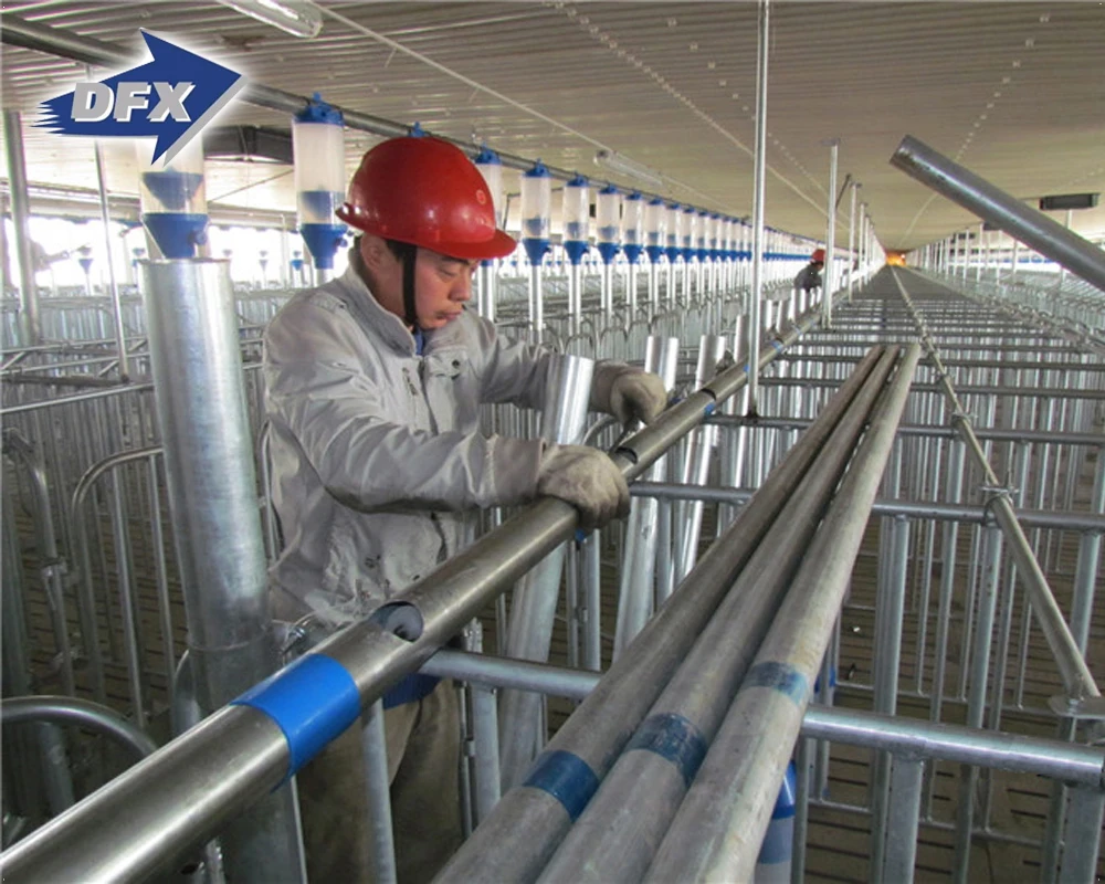 Farmhouse-Style Galvanized Prefabricated Steel Cowshed & Chicken House Husbandry Stable Barn from Qingdao China