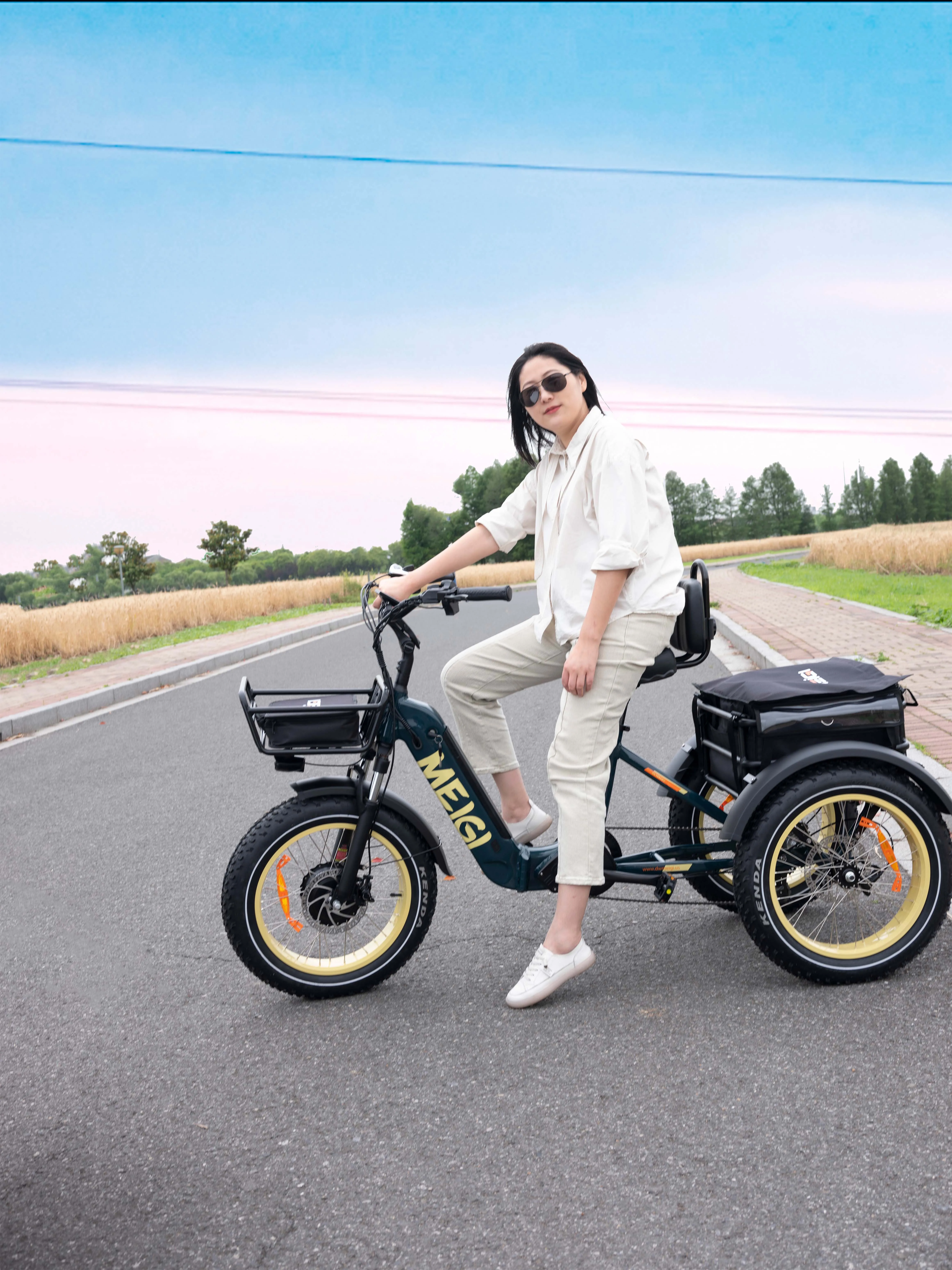 Cargo ebike Fat tire electric tricycle for adult 750w bafang motor thumb throttle electric tricycle with backrest saddle etrike