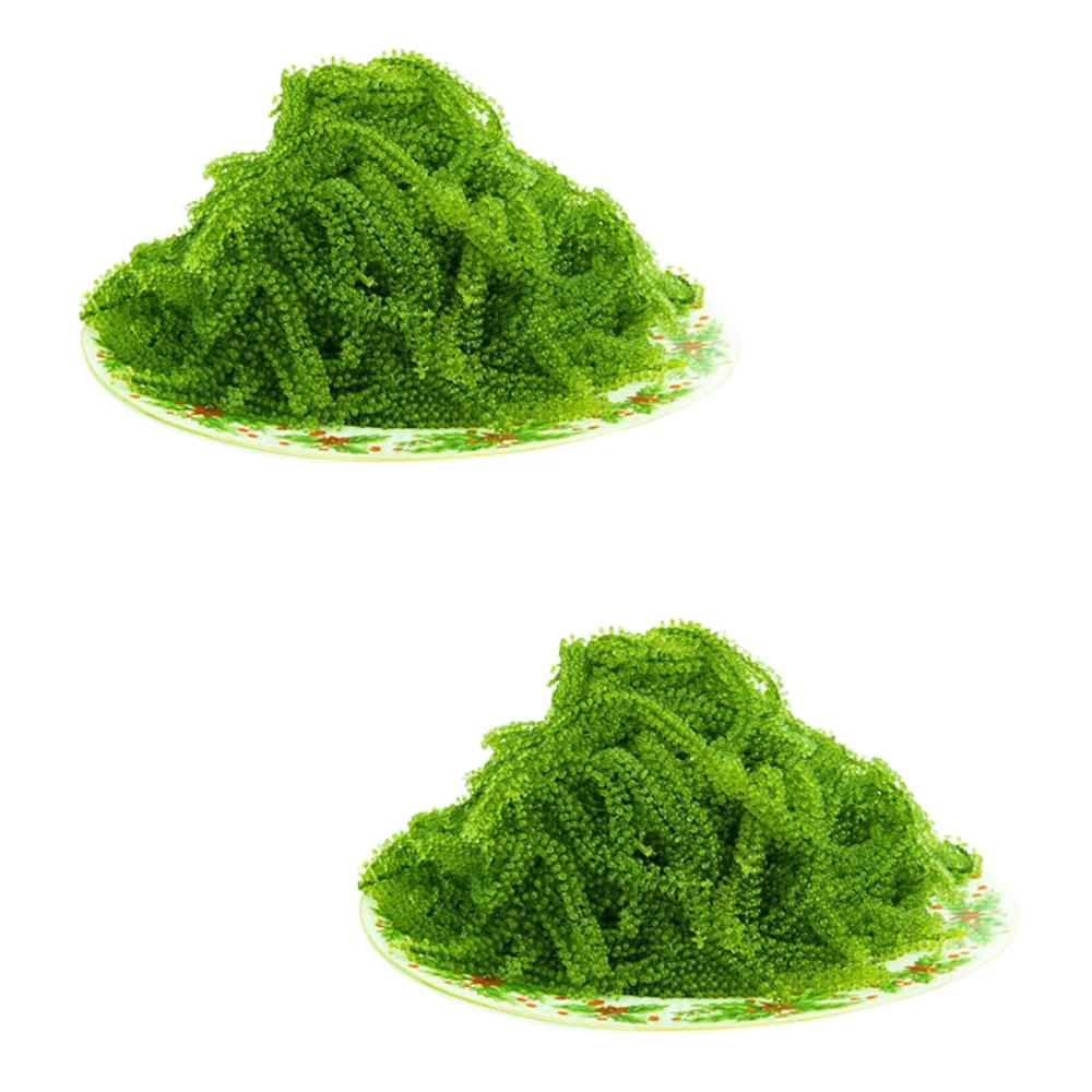 100% Wild Craft Sea Grapes Nori Salted Seaweed Seafood Haccp Certified Fast Delivery Halal Certified Packaging Vietnam