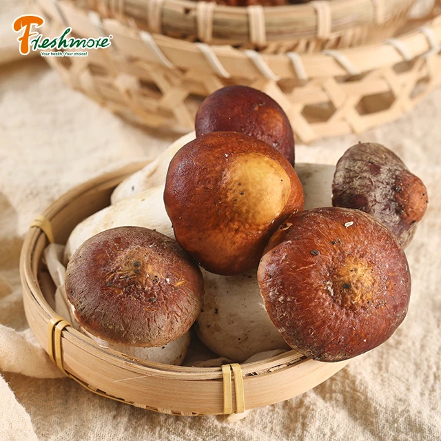 China Finc butan fresh Matsutake pine rare edible mushroom well price