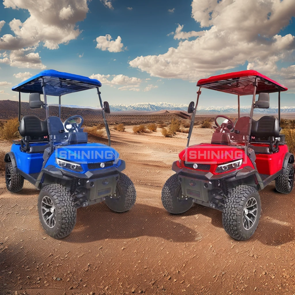 Shining Brand 4 seats electric golf carts universal enclosure with roof rack golf cart