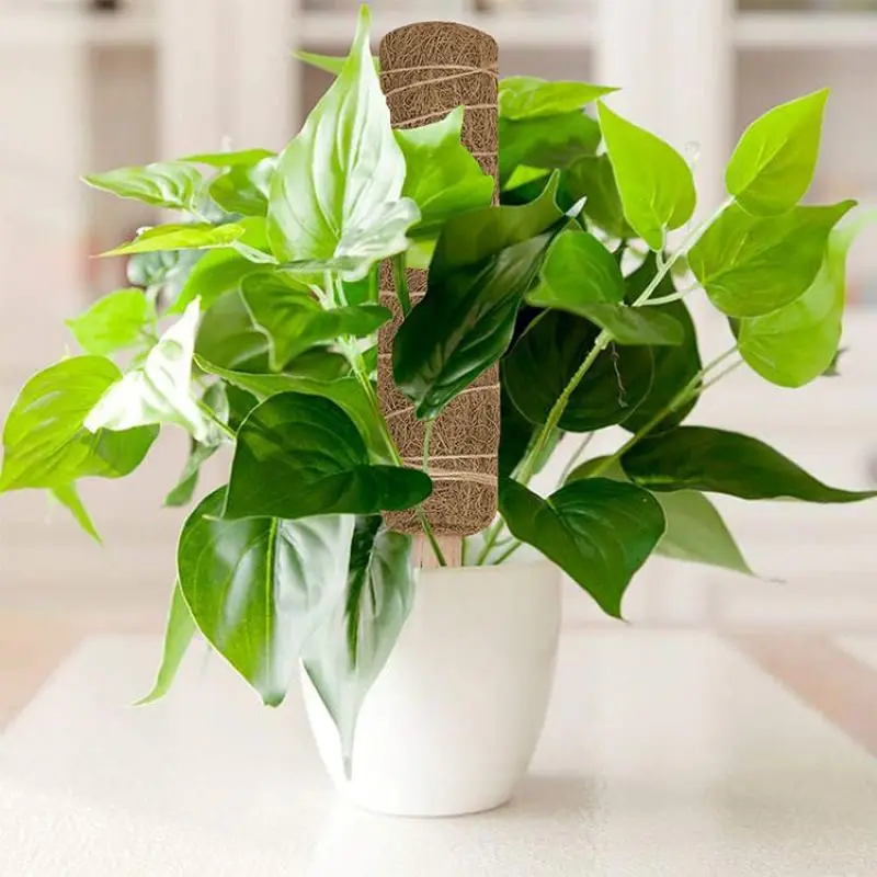 30\40\50cm Plant Climbing Pole Coir Moss Stick Bendable Palm Vines Stick Plant Support Extension Climbing Indoor Plants Creepers