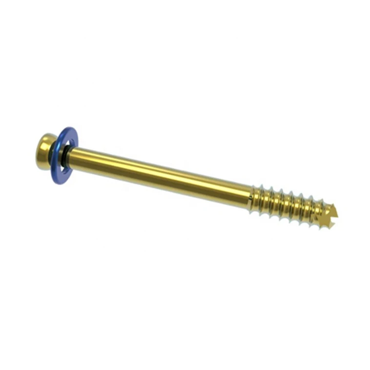 Medical Titanium Orthopedic Implants Cannulated Herbert Screw Headless Cannulated Screw With Price