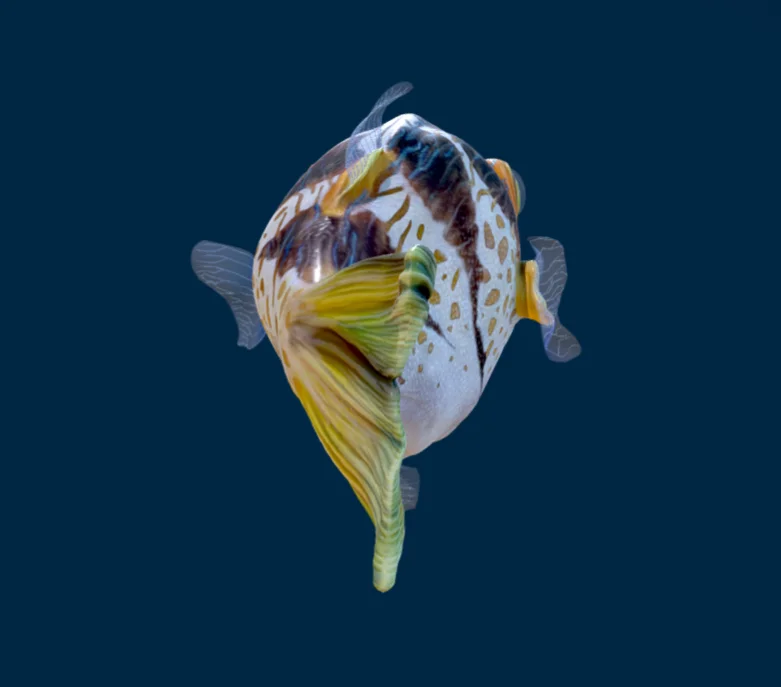 Ocean Animals Colorful Fish Original Customize Cartoon Figures Design Shark Stuffed Models Museum Park Kids Toys