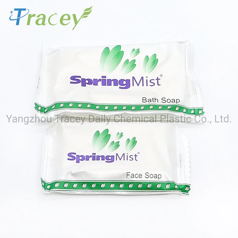 Small Organic Amenities Travel Round Toilet Bath Bar Soap Biodegradable Mini Hotel Soap