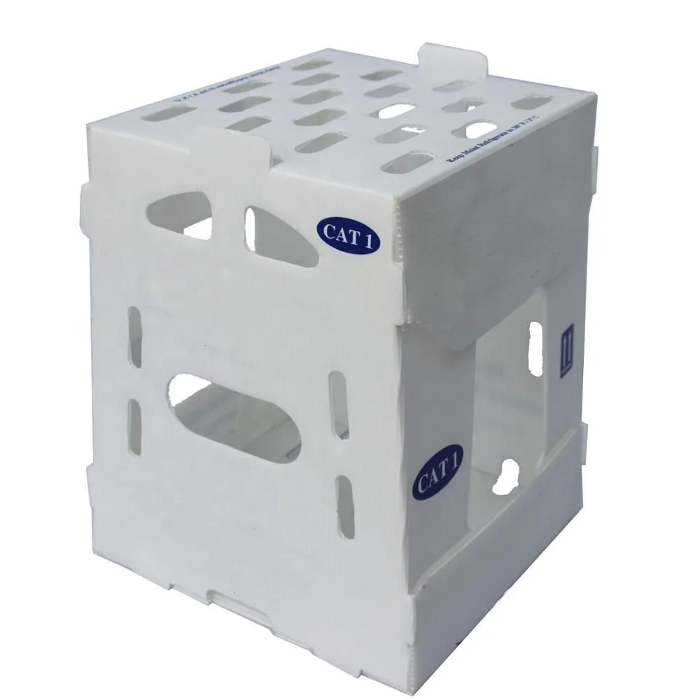 3mm 4mm 5mm Recycled Custom Logo PP corrugated Fruit Box Packing Vietnam Fresh Asparagus packing boxes