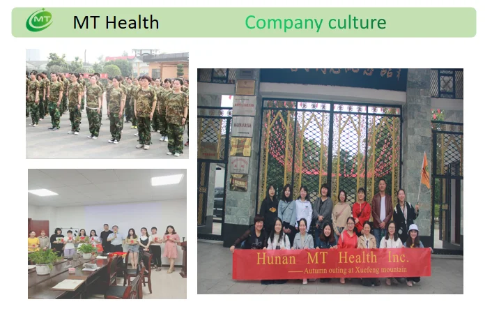 Company Culture MThealth1