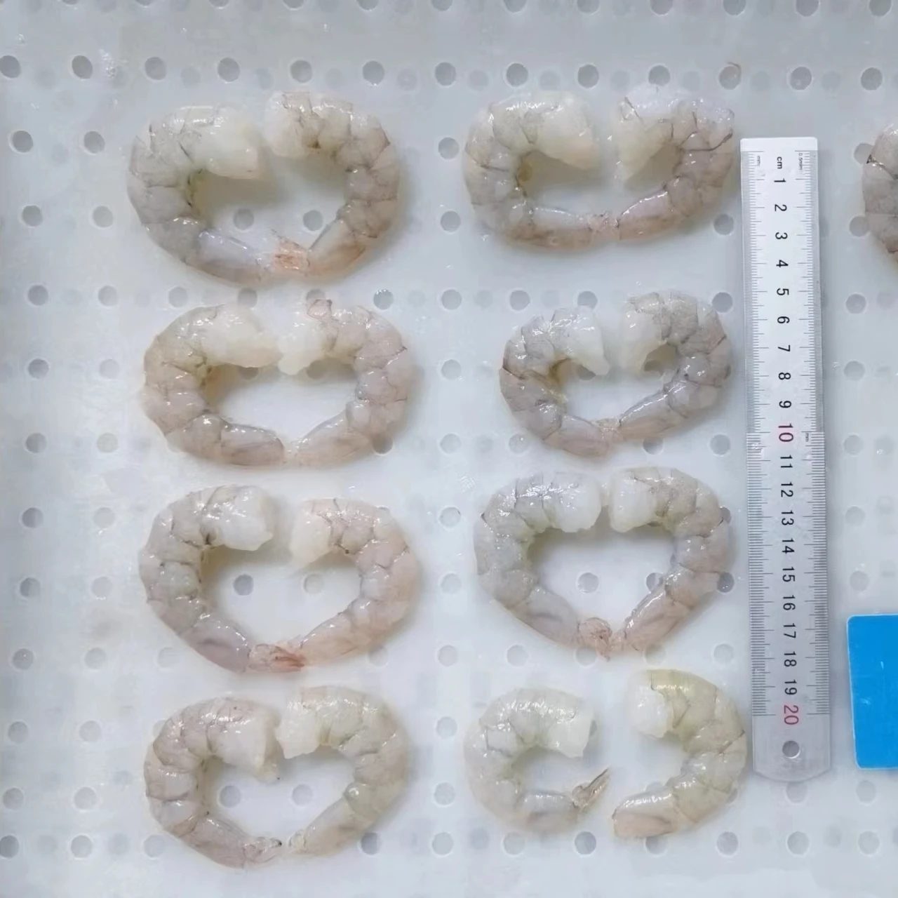 Frozen White Shrimp/Vannamei White Shrimps PD