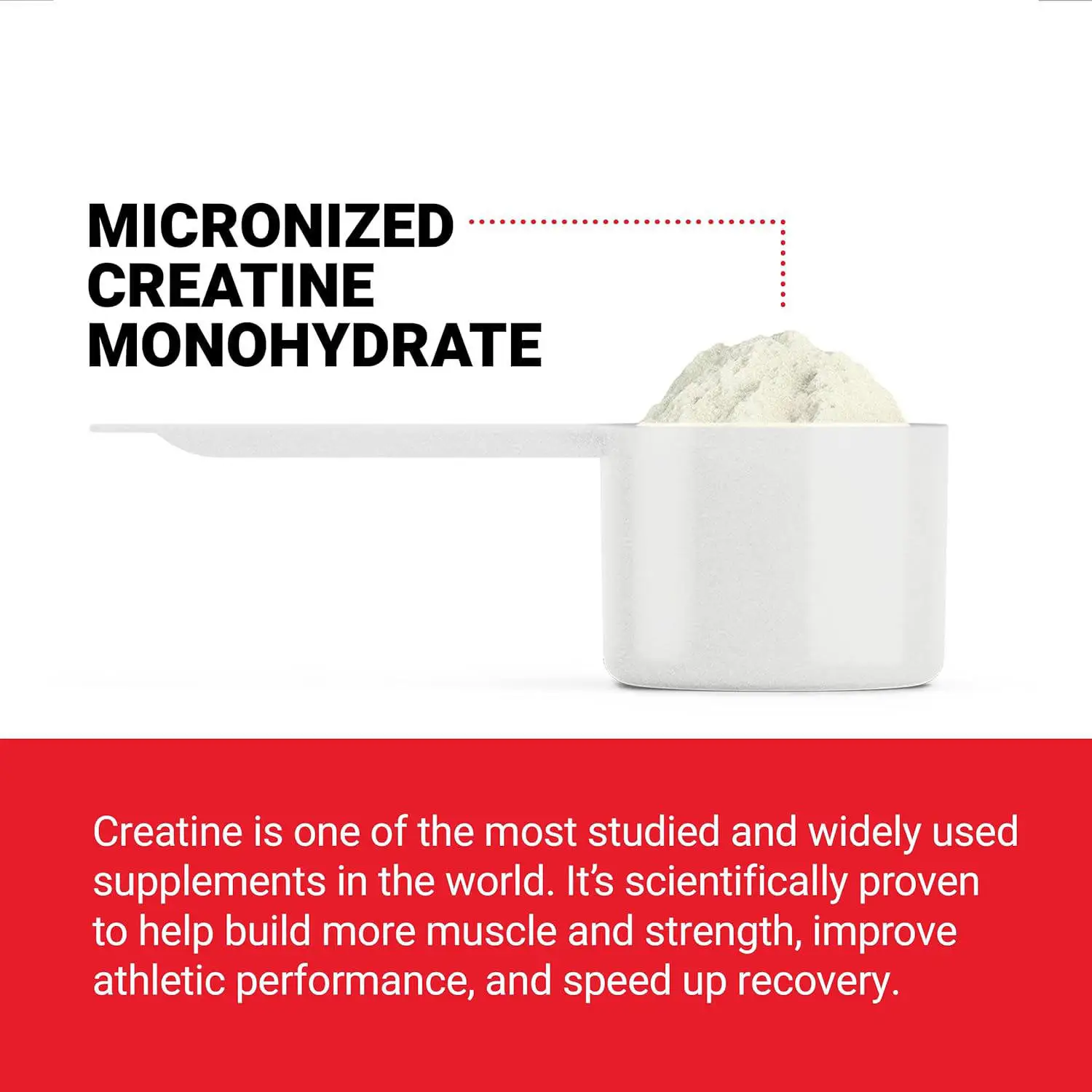 Private Label Creatine Monohydrate Improve Performance and Strength and Support Workout Recovery Creatine Monohydrate Powder