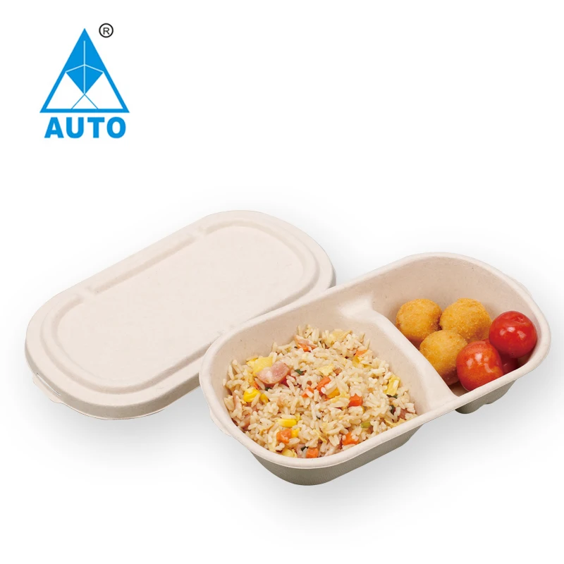 2021 New DZ1100 Bagasse Molding Tableware Pulp Thermoforming Machine for food container