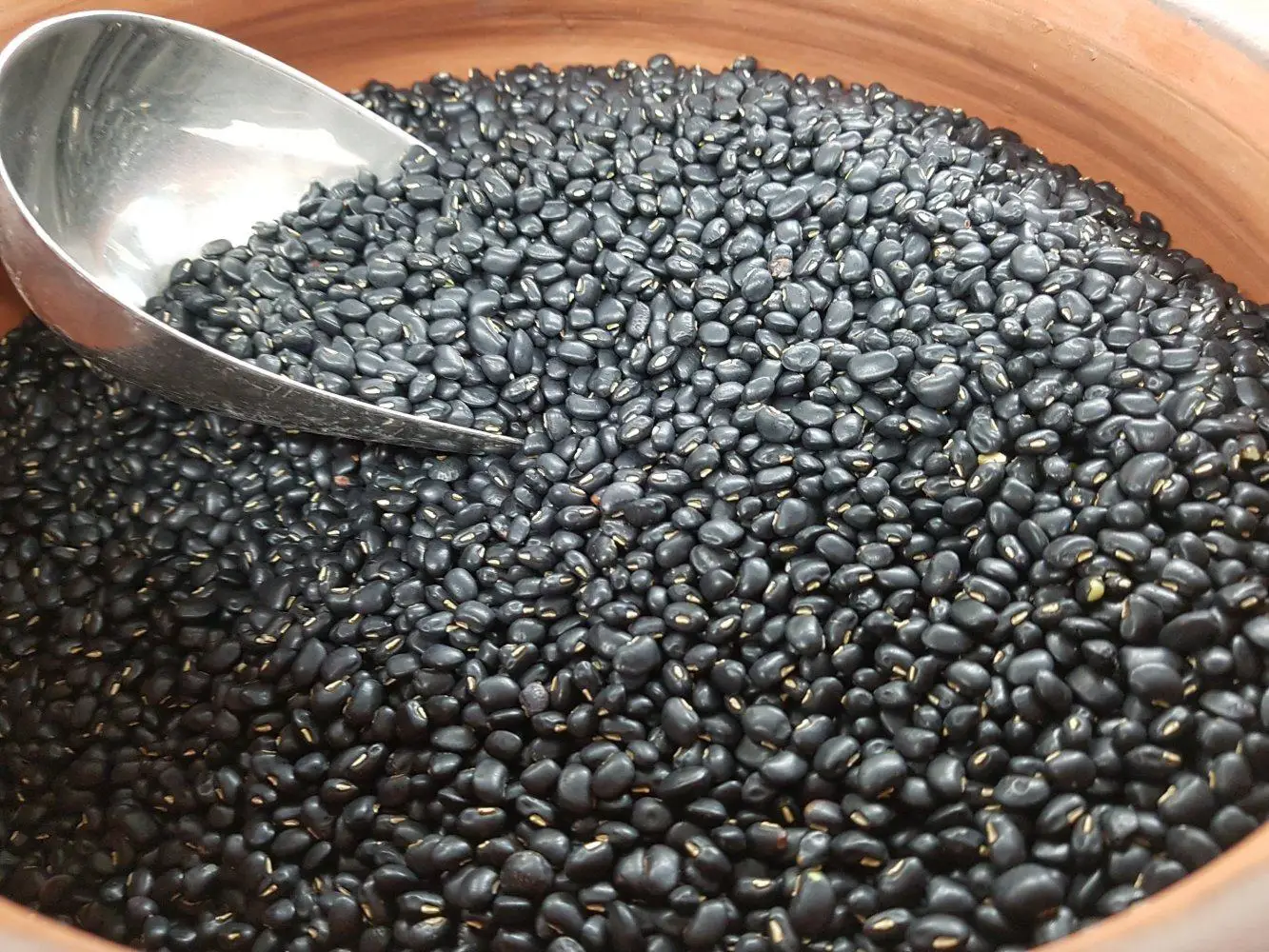 Wholesale New Crop Black Beans Vietnam Supplier Wholesales High Quality Raw Vietnam Black Bean