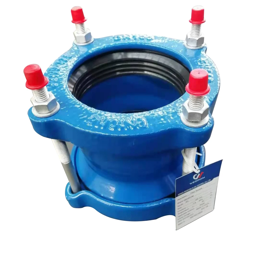 Производство WESDOM Расширительная гибкая труба соединение PN16 HDPE гибкое из ковкого чугуна