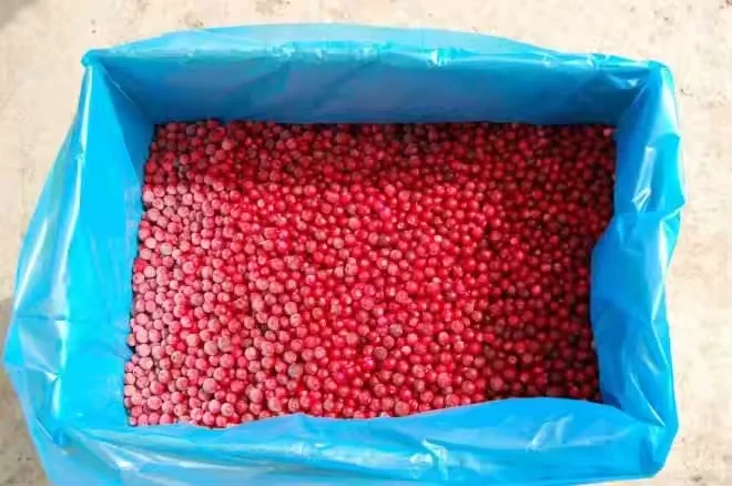 Wholesale Price Frozen fruit IQF Frozen Lingonberry for sale