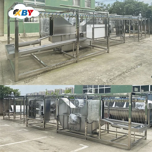 Algeria Muslim halal  poultry Chicken slaughter production feather  plucking machine in slaughterhouse equipment sell