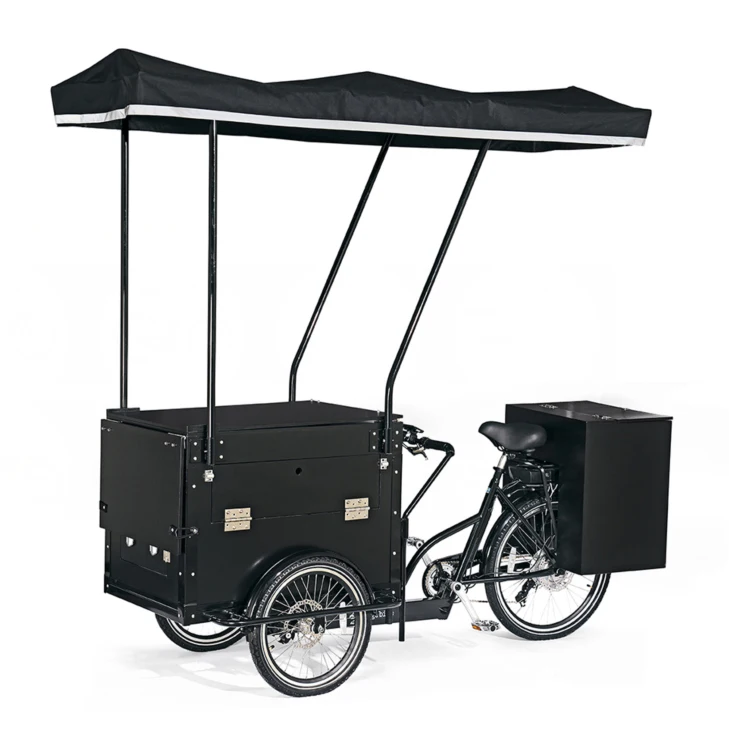 
NEW Electric Cafe bike Cargo bicycle E Cafeteria 3 wheel 36v Tricycle 