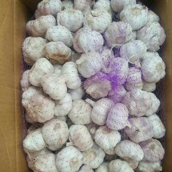 Новый Урожай чистого белого чеснока Sinofarm 2021, китайский продукт, высокое качество, экспорт в картонной коробке 10 кг, Цена Чеснока в Китае