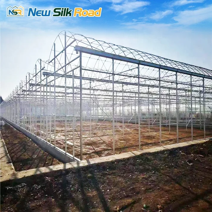 NSR Greenhouse Multi-Span Economical Plastic ac Greenhouse For Sale