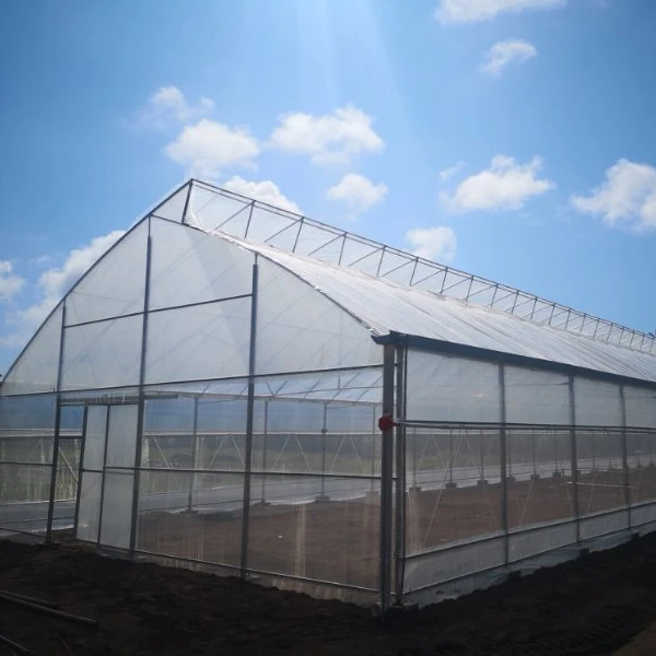 Sawtooth Roof and Side Vents Agriculture Greenhouse For Africa Tropical Area